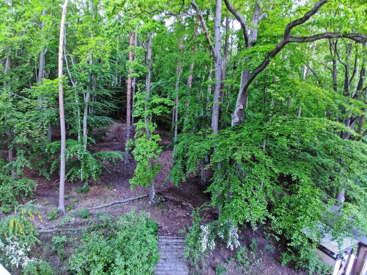 "Near The Forest" Apartment Sopot Luaran gambar